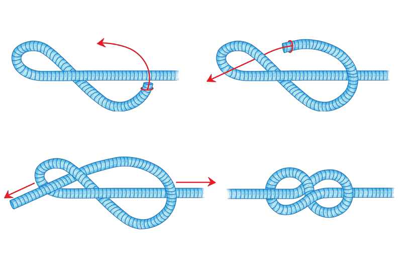 figure 8 knot dog leash