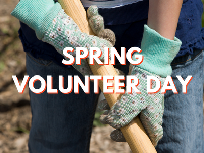 Spring Volunteer Day